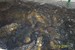 100_2135.JPG